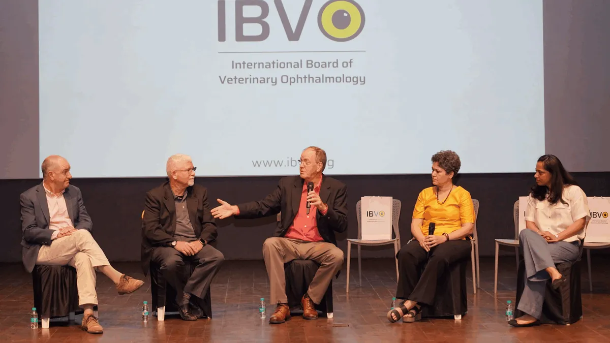 Five panelists seated on stage in front of the IBVO logo
